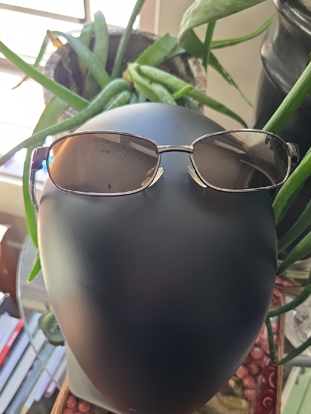 Speedo Men's Rectangular Metal Frame Polarized Sunglasses in Brown